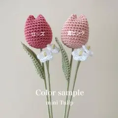 キラリ様 ♡ ミニチューリップ