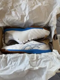 新品未使用 ASICS CALCETTO WD 9 WIDE 25.0 8030のサムネイル