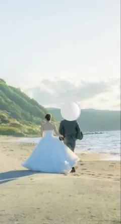 ワイヤー2段パニエ