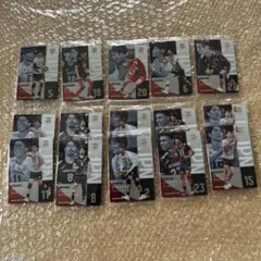 男子バレーボール日本代表ツインウエハース2026 15枚セット