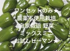 気まぐれ販売 農薬不使用栽培 自家栽培 野菜 ミニピーマン 野菜詰め合わせのサムネイル