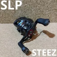 ダイワ　スティーズ A TW-SLPW セミオーダー　SV スプール
