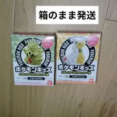 ポケモンキッズ メガデンリュウ メガバンギラス 2個セット