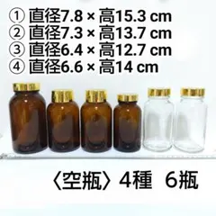 〈空き瓶〉大瓶 遮光 茶色 透明 ４種類 計６瓶