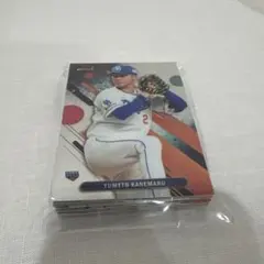 Item thumbnail for item e9f8de17-f99a-4b3a-8912-2a2bb6ad0ac3