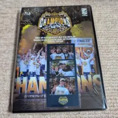 Item thumbnail for item 67b50c95-e9c3-4322-90ba-3b02c46540fd