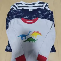 恐竜　ロンT　120 セット