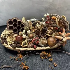 A-33自然素材　木の実ナチュラル24種　インテリア　アレンジ　リース素材
