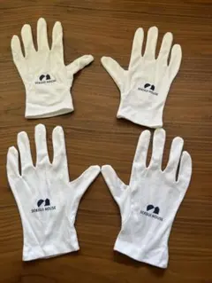 Item thumbnail for item f5723590-f743-4dc3-a2b0-46ecd8e8b25e