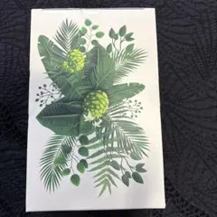 Item thumbnail for item ef42fa4c-8750-417b-a384-adc2d6bd3f54