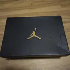 ぶ*お様 Nike Air Jordan Golf スニーカー