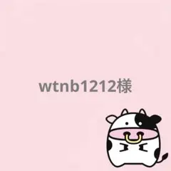 wtnb1212様 リクエスト 3点 まとめ商品