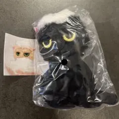 洗われた猫 ぬいぐるみ マスコット ガチャ　実家の猫のサムネイル