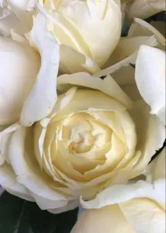 taiju_0818様 リクエスト 2点 まとめ商品