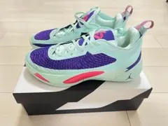 エアジョーダン バスケットボールシューズ ミントグリーン/パープル