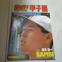 Item thumbnail for item a95a2898-86cf-4633-a995-602b726fd6d9