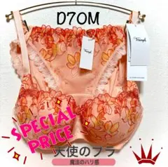 D70M トリンプ 天使のブラ 魔法のハリ感596 ブラ＆ショーツOR Hik