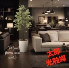光触媒 人工観葉植物 ウォールグリーン ベンジャミントピアリー1.51.5