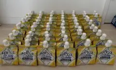 Item thumbnail for item 048bb93d-e354-4dd7-abdf-7f5775f617ac