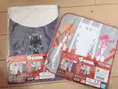 一番くじ‼️エヴァタオルセット