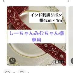 しーちゃんみむちゃん様専用　インド刺繍リボン レッド 2m