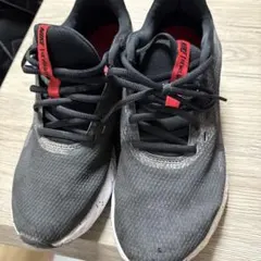 Nike adidaasブラック/レッド スニーカー