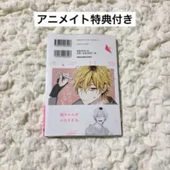 恋と呼ぶにはささやかですが 1巻 特典付き - メルカリ