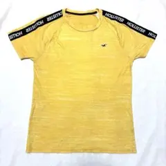 人気 ホリスター 半袖Tシャツ ロゴ刺繍カモメ（シーガル）爽やか 黄