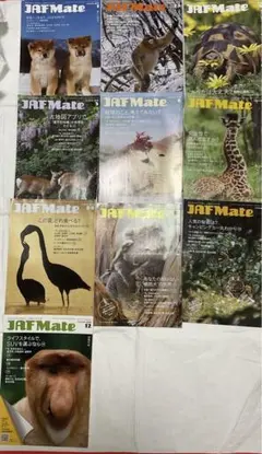 JAFMateジャフメイト、2018年1〜12月号の9冊