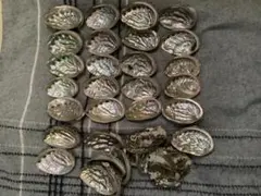 新潟県産　佐渡　アワビ　鮑　あわび　貝殻　36個