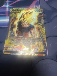 伊*門様 FS12-01 孫悟空 L⭐︎