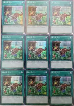 遊戯王 隣の芝刈り スーパーレア 9枚 RATE