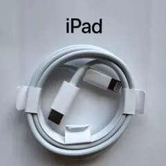 新品純正品⭐︎USB-C to Lightning ケーブル 1m iPad