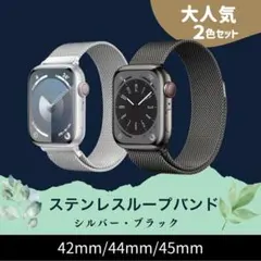 2本セット　ステンレスループバンド シルバー・ブラック 42/44/45mm