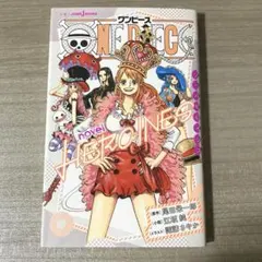 ワンピースノベルヒロインズ ONE PIECE novel HEROINES