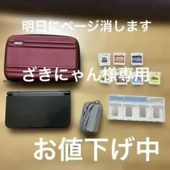 new3DS LLブラック本体、充電機、本体ケース、カセットケース、カセット付き