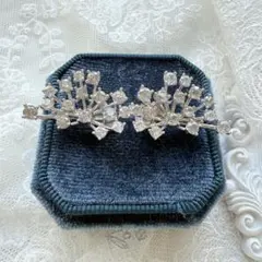 本日特売！GSTV mia パラジウムシルバー950 フェザータッチ イヤリング