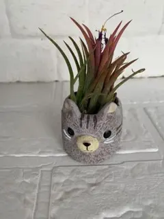 れらそあ様 リクエスト 2点 まとめ商品