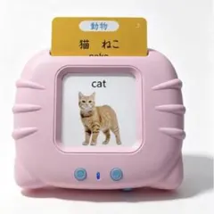 稼働品】Language Pal ランゲージパル学習教材 たのしい英語、漢字