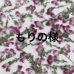 もりの様 リクエスト 2点 まとめ商品