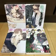 美しい彼 1〜3巻　凪良ゆう