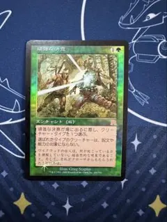 MTG 錯乱した隠遁者 Deranged Hermit 英語　日本語　3枚 MTG 錯乱した隠遁者 Deranged Hermit 英語 日本語 3枚 - メルカリ