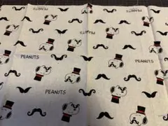 Item thumbnail for item b4ded751-881b-4d29-aeb9-b10971adf712