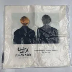 kinki kids クッションカバー　堂本光一　堂本剛