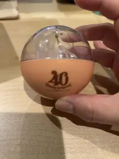 東京ディズニーリゾート 40周年　キーチェーン