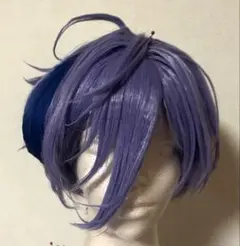 榊ネス コスプレ ウィッグ にじさんじ VTuber - メルカリ