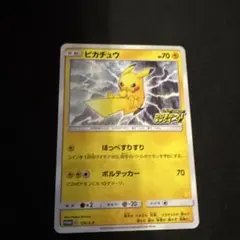 ピカチュウ：「ピカピカ！ピカチュウ！プロモカードキャンペーン！」 PROMO …