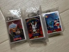 Item thumbnail for item 170c1e3b-d22d-443a-9c35-304c1411f61d