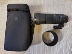 Item thumbnail for item e28806d9-7007-4234-90ce-f73d8bd77a6a