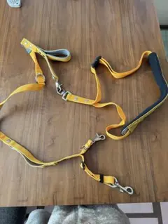 Item thumbnail for item ada6f0fc-f9cd-47f6-b0a1-5e54e7540178